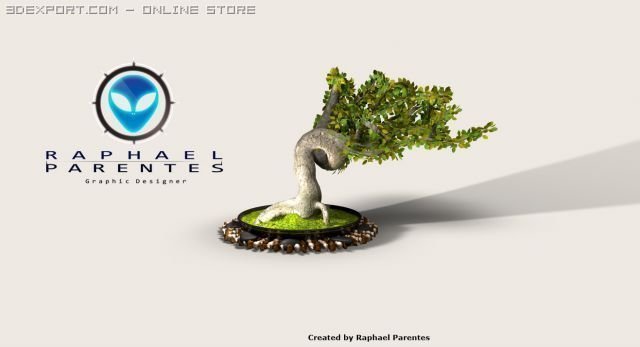 Bonsai Tree 3d Model In Tree 3dexport