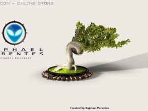 bonsai tree 3D Model