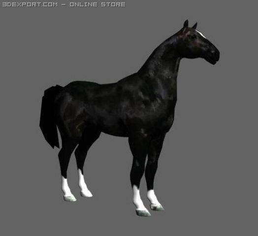 horse 3D Model .c4d .max .obj .3ds .fbx .stl .blend 