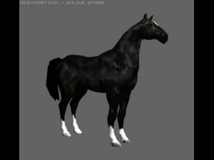 horse 3D Model
