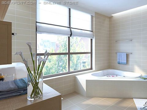 bathroom 001 3D Model .c4d .max .obj .3ds .fbx .stl .blend 