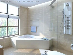 bathroom 001 3D Model
