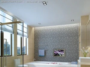 bathroom 002 3D Model
