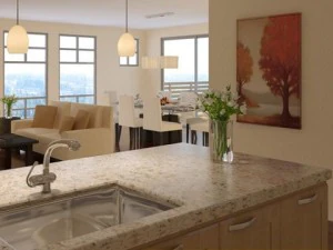 living  dining room  kitchen 059 3D Model