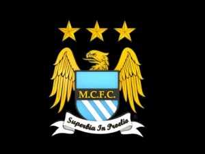 big 5 premier league football club 3D Model