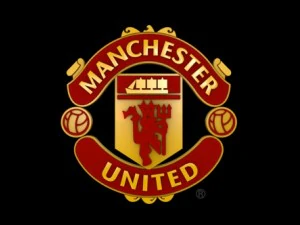 big 5 premier league football club 3D Model