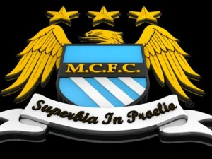 big 5 premier league football club 3D Model