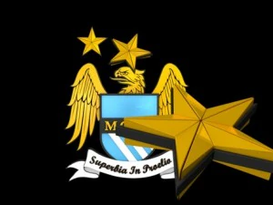 big 5 premier league football club 3D Model