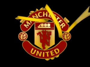 big 5 premier league football club 3D Model