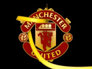 big 5 premier league football club 3D Model