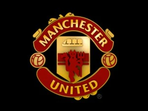 big 5 premier league football club 3D Model