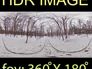 winter park hdr Modello 3D