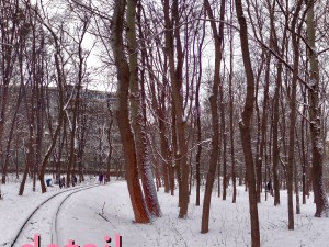 winter park hdr Modelo 3D