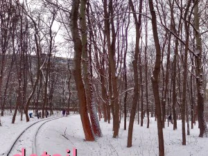 winter park hdr CG Textures