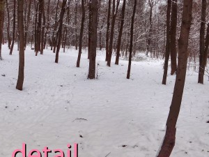 winter park hdr Modelo 3D