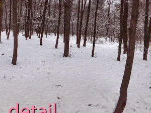 winter park hdr CG Textures