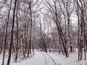 winter park hdr Modelo 3D