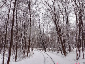 winter park hdr CG Textures