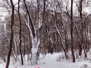 winter park hdr CG Textures