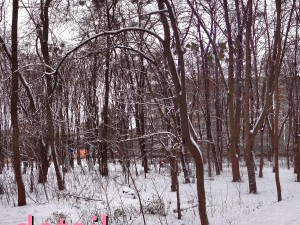 winter park hdr Modelo 3D