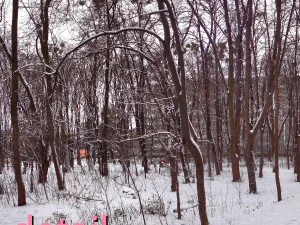 winter park hdr CG Textures