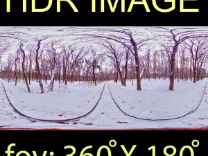winter park hdr Modello 3D