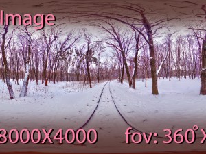 winter park hdr 3D 模型