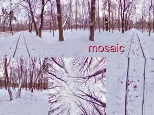 parco invernale hdr CG Textures