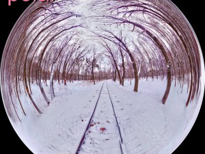 winter park hdr 3D 模型