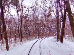 parco invernale hdr CG Textures