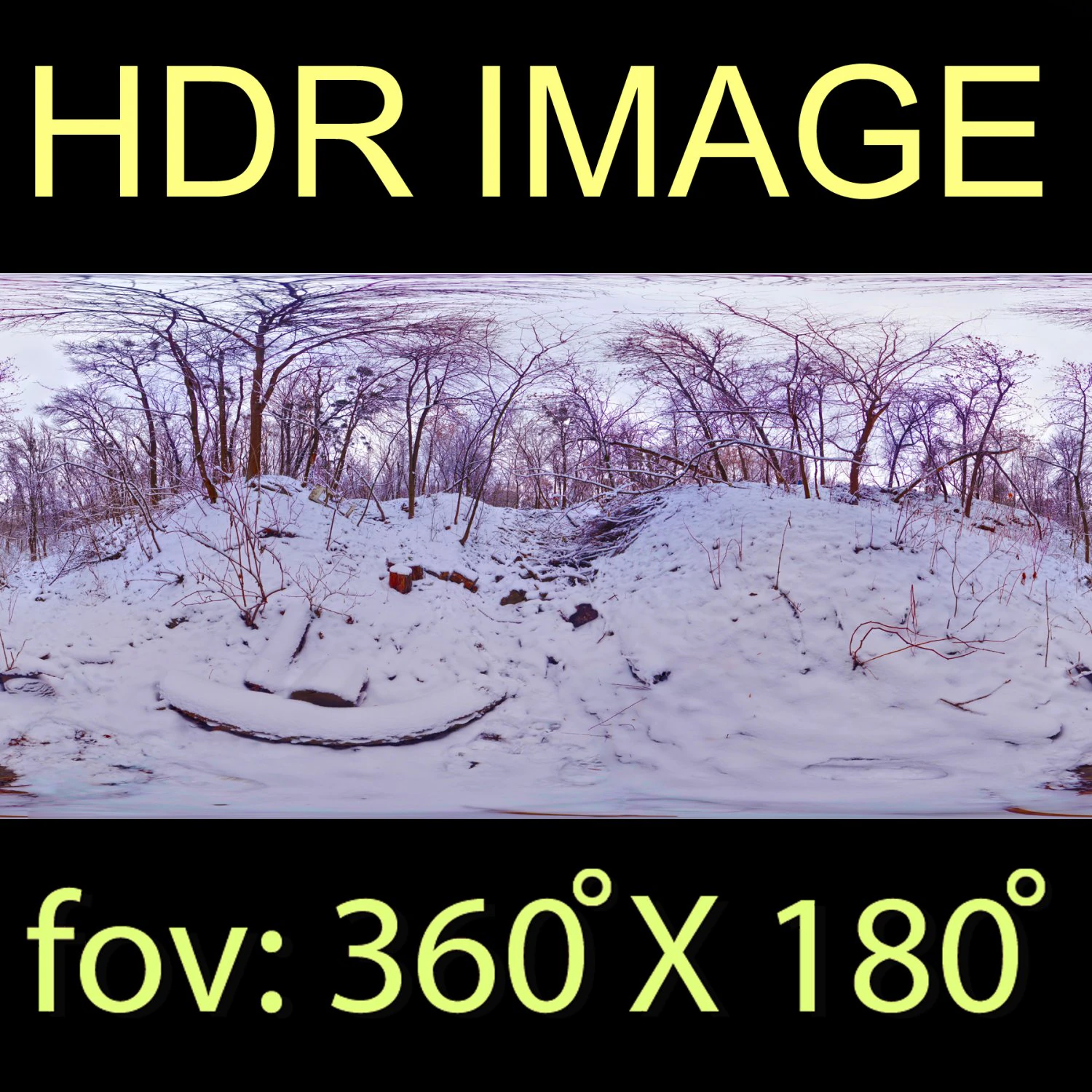 winter park hdr CG Textures .c4d .max .obj .3ds .fbx .stl .blend 