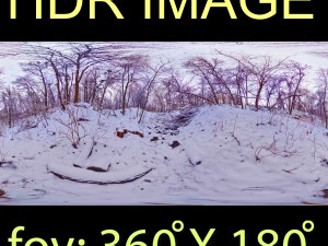 winter park hdr Modello 3D