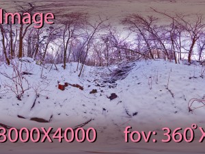 winter park hdr 3D Model
