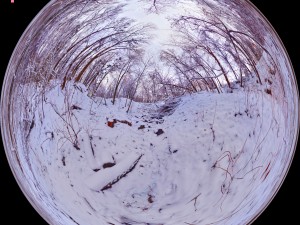 winter park hdr 3D Model