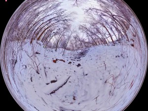 winter park hdr CG Textures