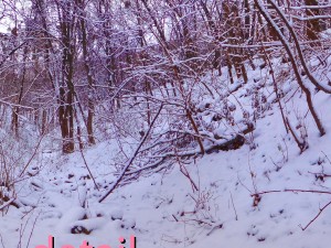 winter park hdr 3D Model