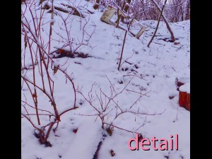 winter park hdr CG Textures