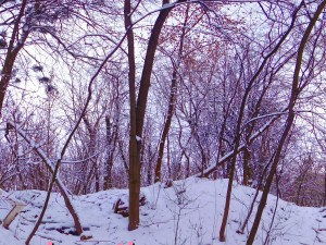 winter park hdr 3D Model