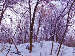 winter park hdr CG Textures