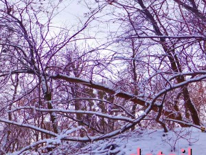 winter park hdr CG Textures