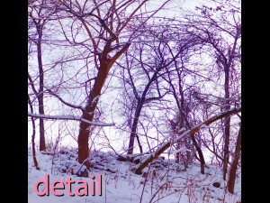 winter park hdr 3D Model