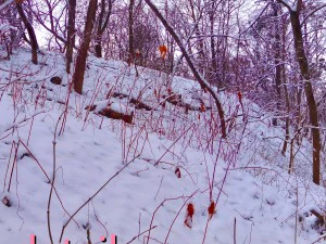 winter park hdr CG Textures