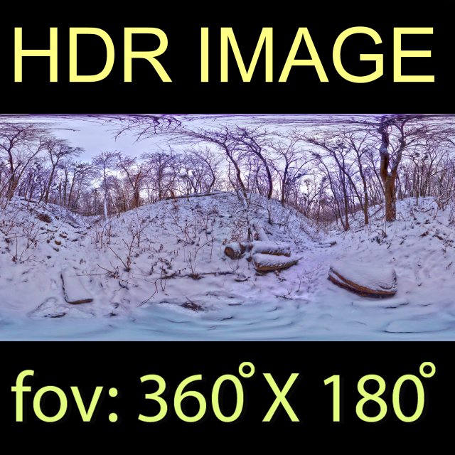 winter park hdr 3D Модель .c4d .max .obj .3ds .fbx .stl .blend 