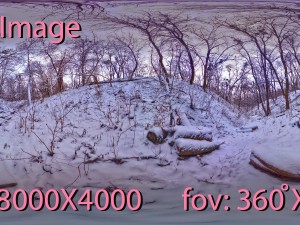 winter park hdr 3D Модель