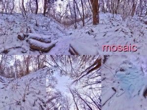 winter park hdr 3D Модель
