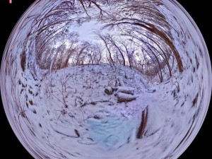 winter park hdr 3D Модель