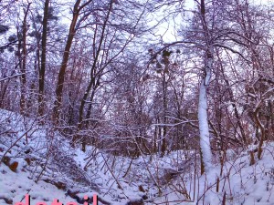 winter park hdr CG Textures