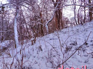 winter park hdr CG Textures