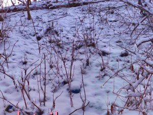 winter park hdr CG Textures