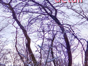 winter park hdr 3D Модель